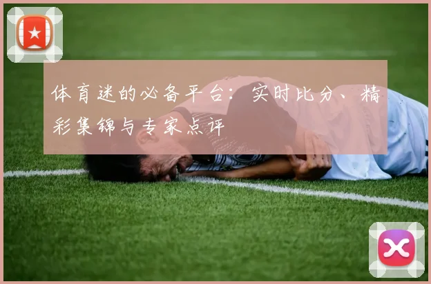 体育迷的必备平台：实时比分、精彩集锦与专家点评