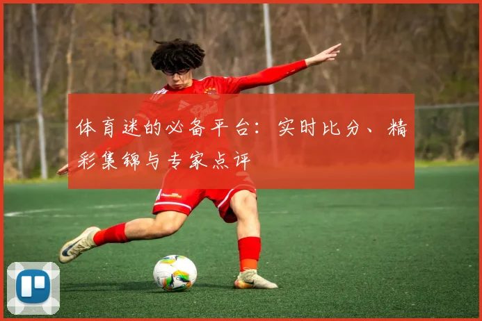 体育迷的必备平台：实时比分、精彩集锦与专家点评