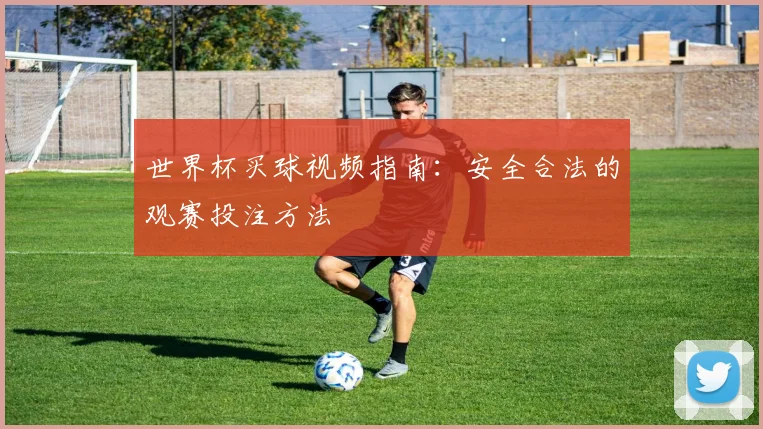 世界杯买球视频指南:安全合法的观赛投注方法